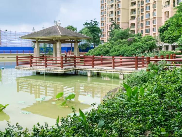 堅美園養(yǎng)護(hù)項目